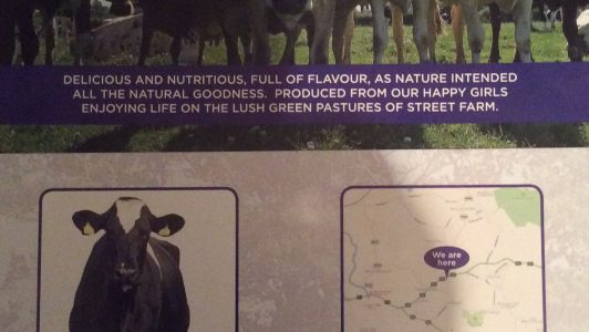 Flyer advertising Fresh Raw Milk now available in Vending machine
